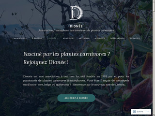 dionee.org.jpg